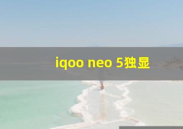 iqoo neo 5独显